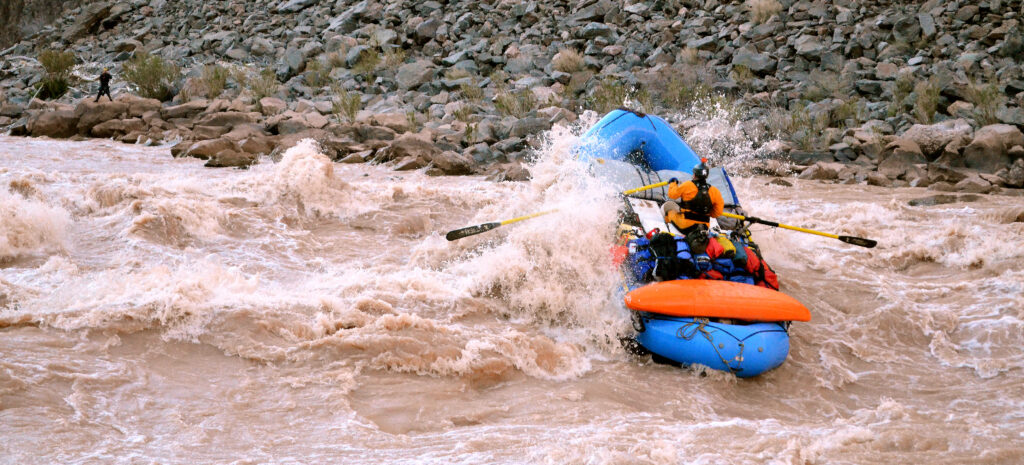 hermit rapid